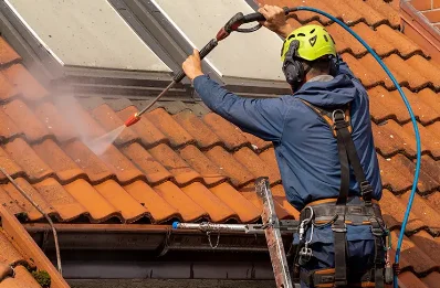 Démoussage et hydrofuge de toiture à Tressignaux